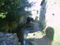 imgp0672-1.jpg